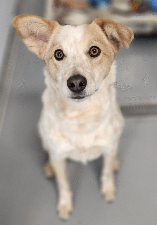 Screenshot 2025-11-02 at 3.46.29 PM